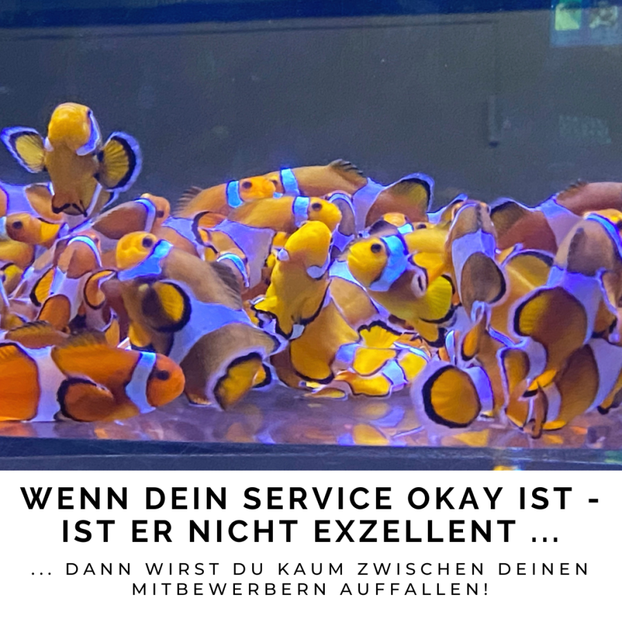 ÜBER 1 MILLIARDE MENSCHEN AUF INSTAGRAM UND DU HAST MEINEN ACCOUNT GEFUNDEN! WIE TOLL IST DAS, BITTE WILLKOMMEN! (1)